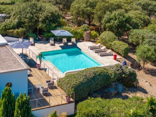 Ein mediterraner Garten mit Pool und großer Terrasse